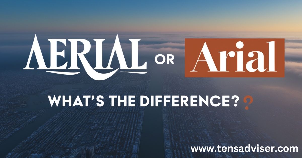 Aerial or Arial