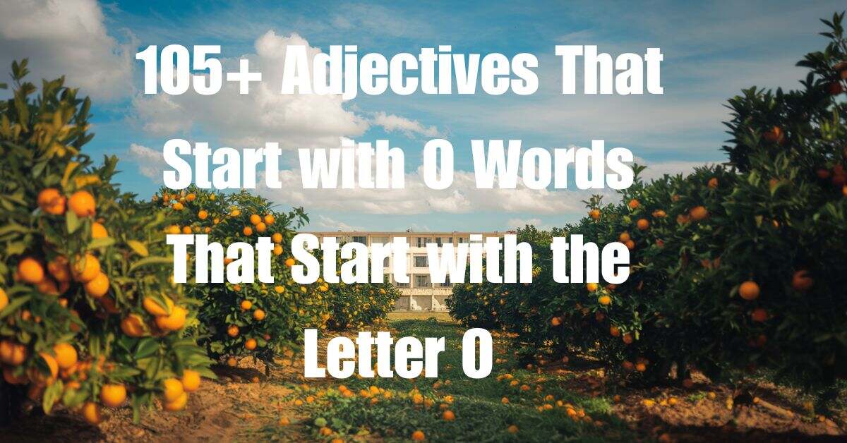 Adjectives That Start with O