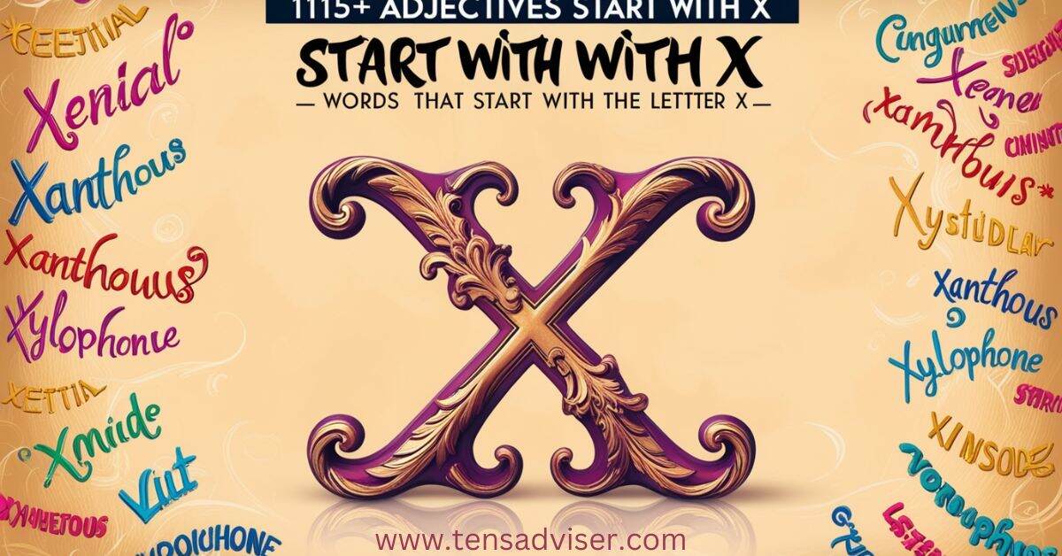 Adjectives Start with X