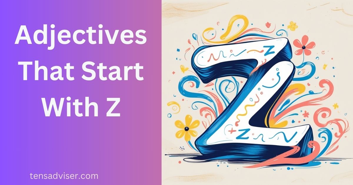 Adjectives That Start With Z