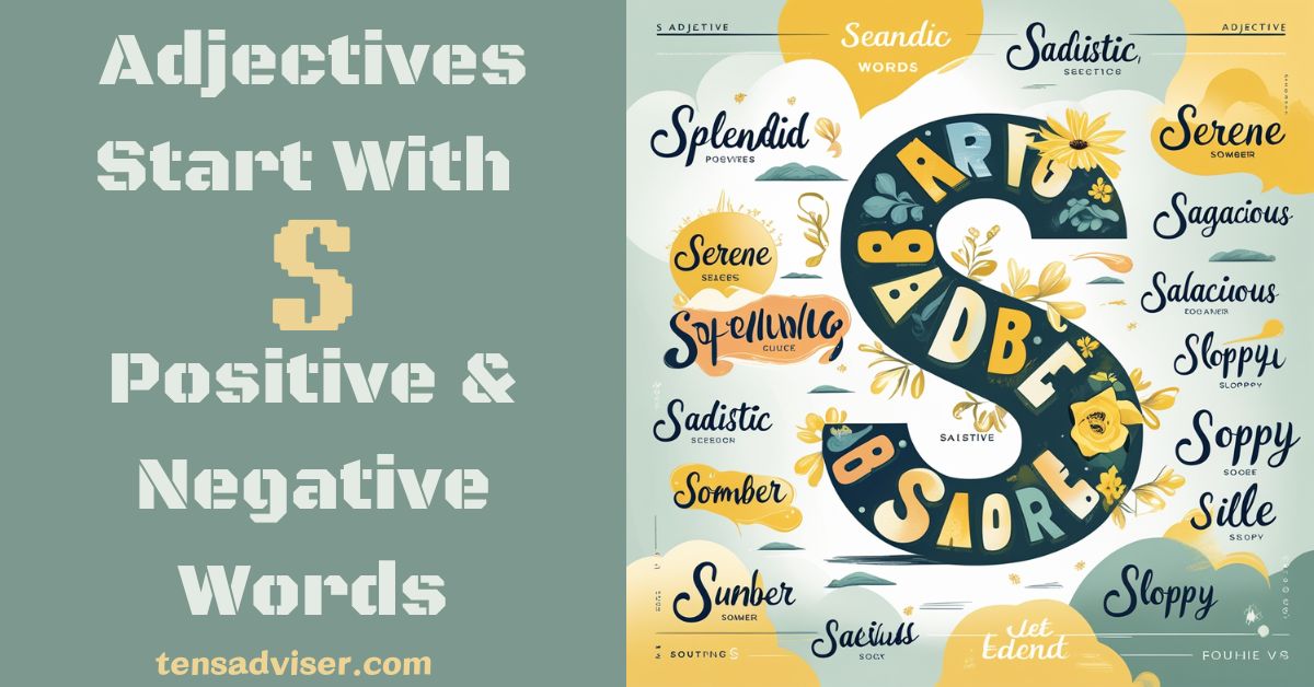 Adjectives Start with S – Positive & Negative Words